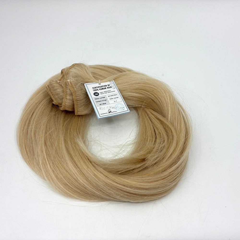 ZALA 30" 5 Piece Clip In Hair Extensions Iced Almond Latte 18/613 Remy NEW